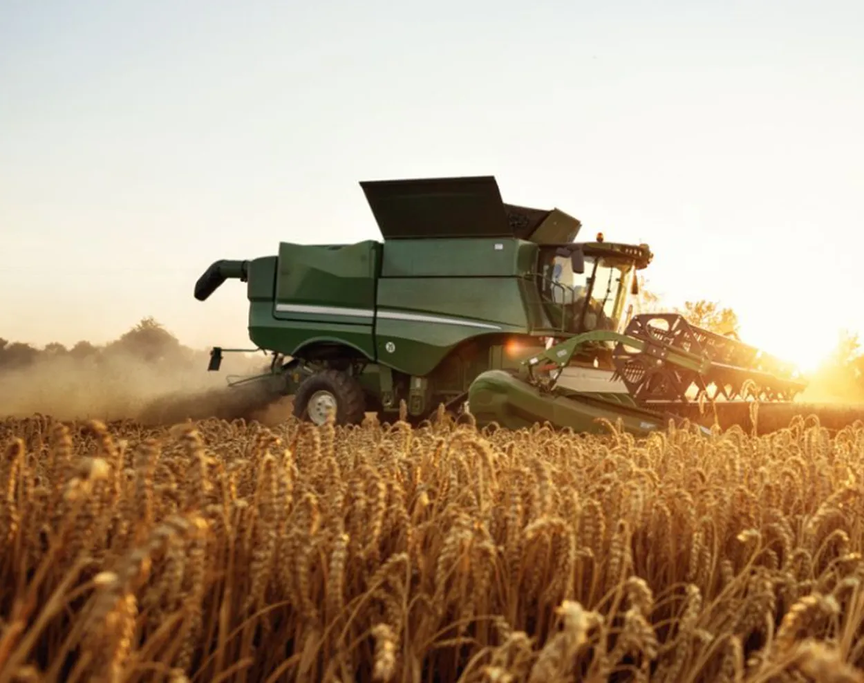 Coamo vê vendas de trigo mais lentas e preocupação logística com grande safra.