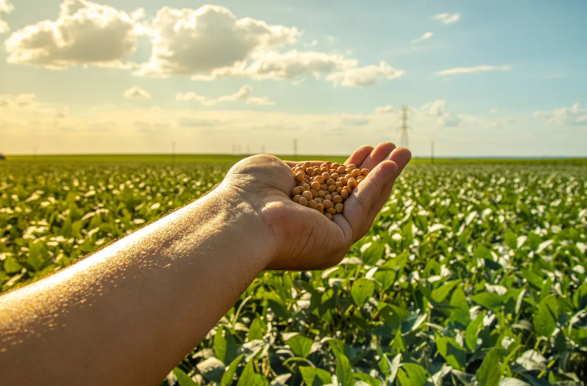 Para produtores rurais